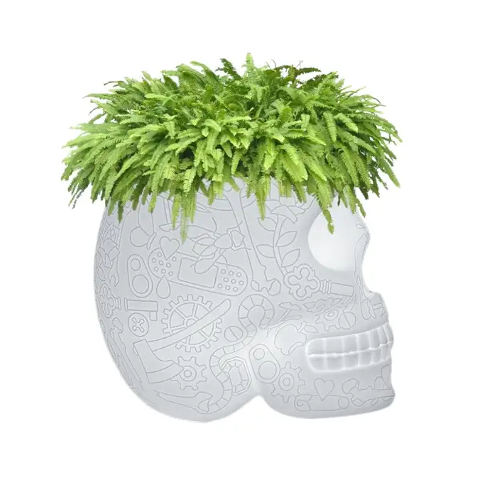 Qeeboo Mexico Planter & Champagne Cooler Rechargeable Lamp