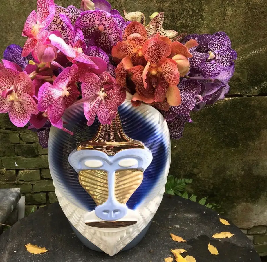 Bosa Primates Mandrillus Vase