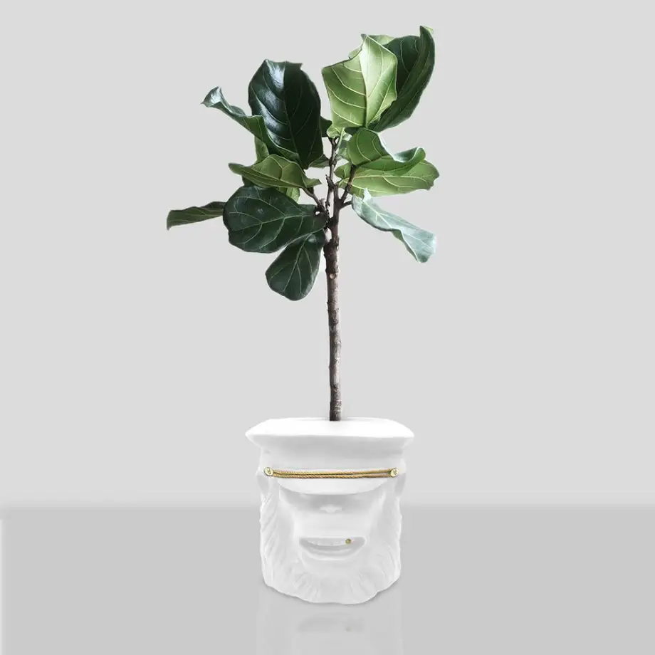 Garden Glory Monkey Face Pot Small