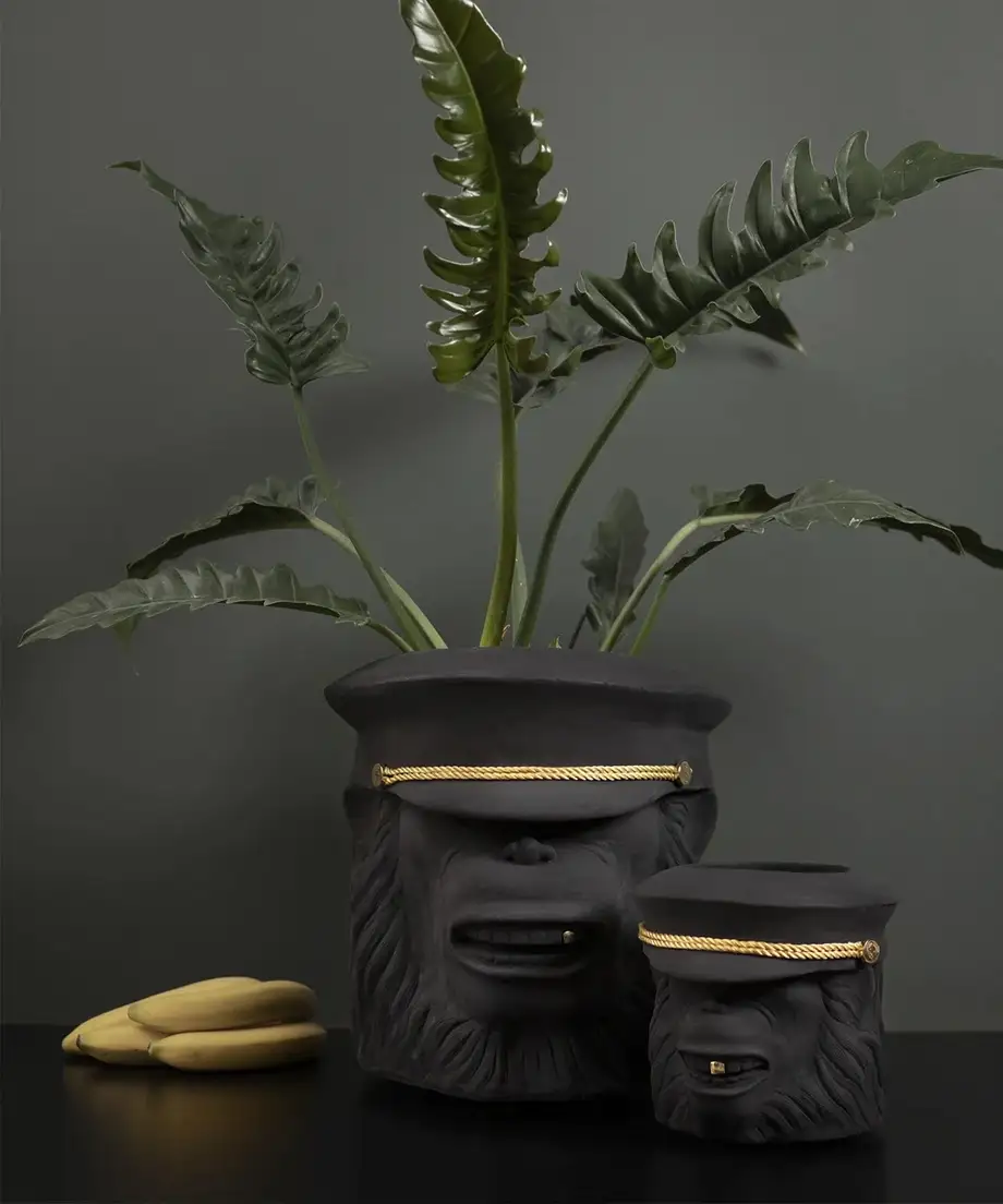 Garden Glory Monkey Face Pot Small