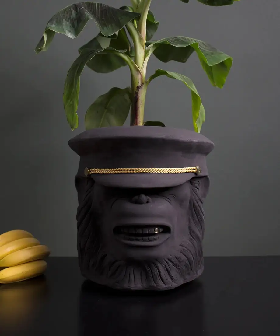 Garden Glory Monkey Face Pot Big