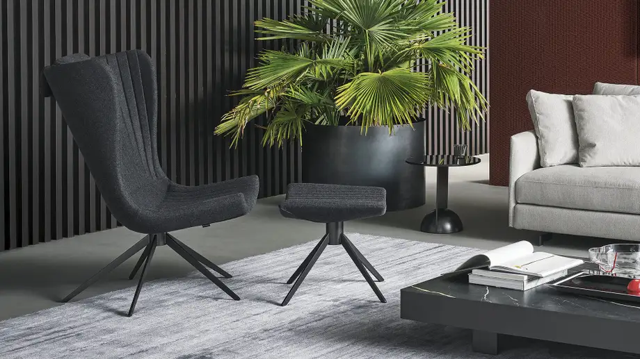Bonaldo Colibri Armchair