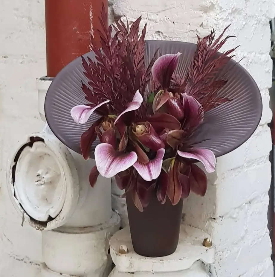 Bosa Fusca Vase