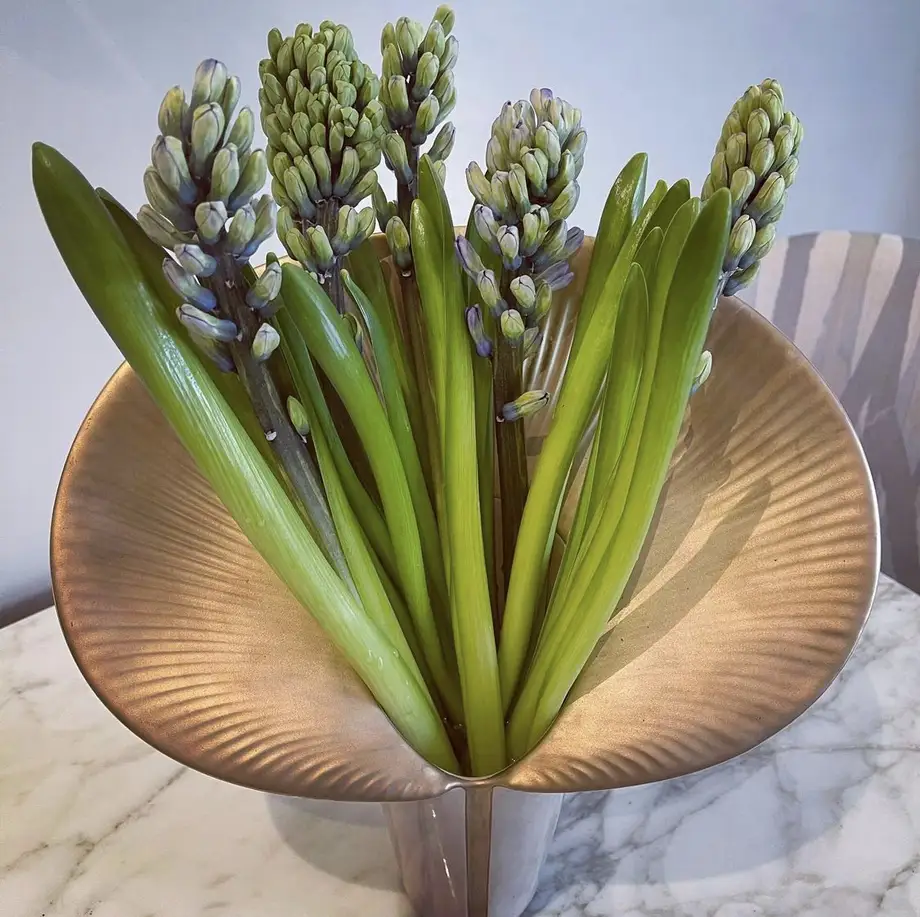 Bosa Fusca Vase