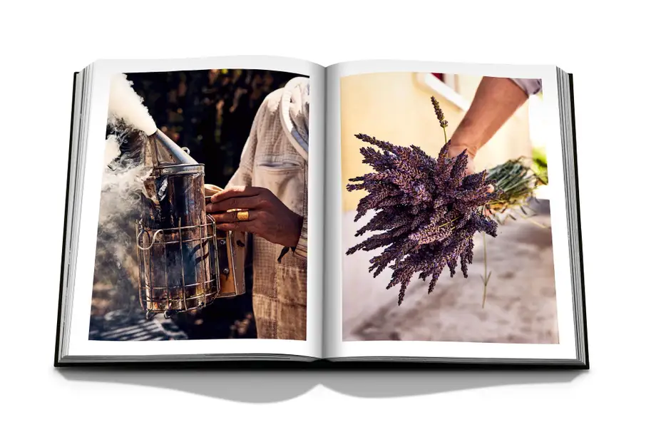 Assouline Louis Vuitton Manufactures