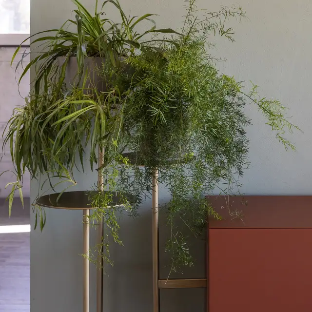 Mogg Ikebana Storage Units