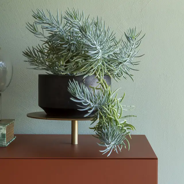 Mogg Ikebana Storage Units