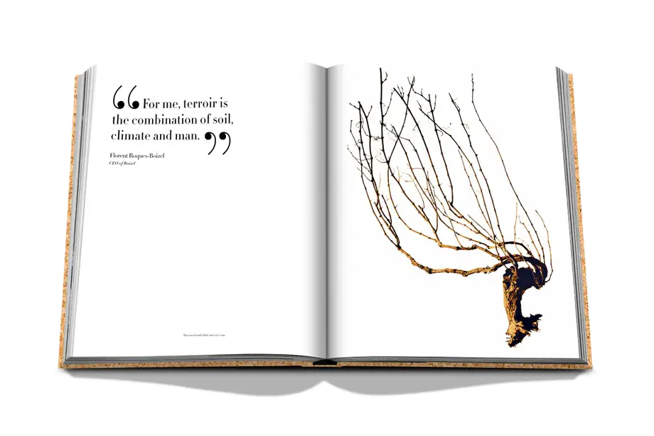 Assouline The Impossible Collection of Champagne