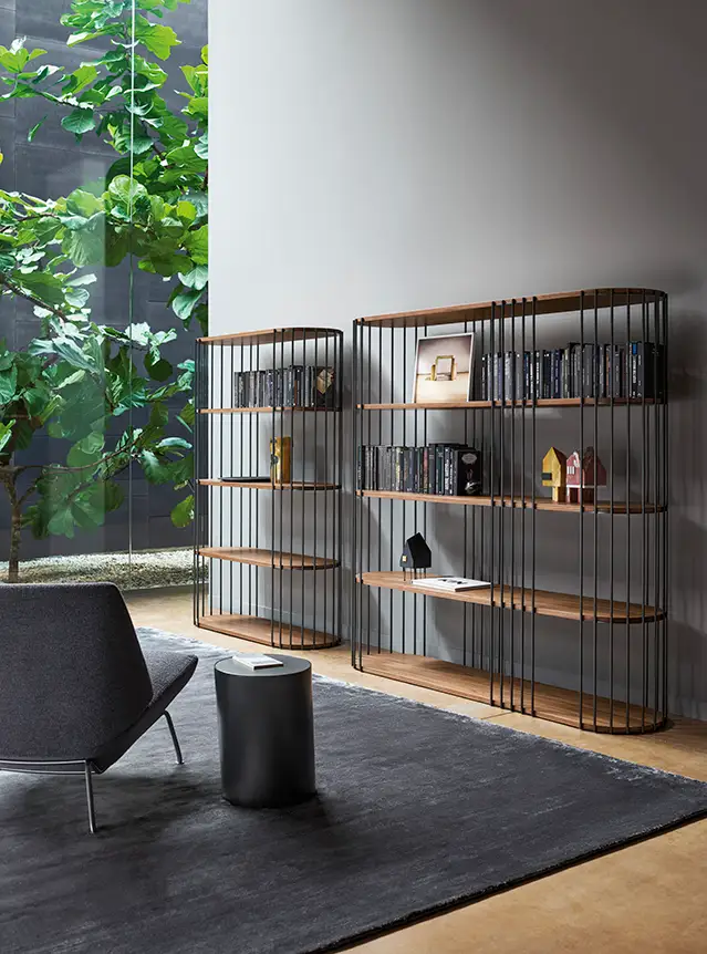 Bonaldo Arpa Bookcase