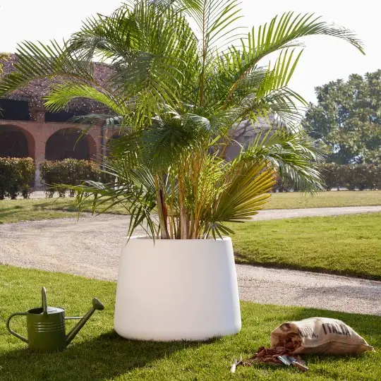 Magis Tubby Plant Pot
