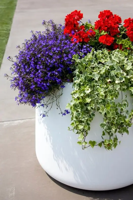 Magis Tubby Plant Pot