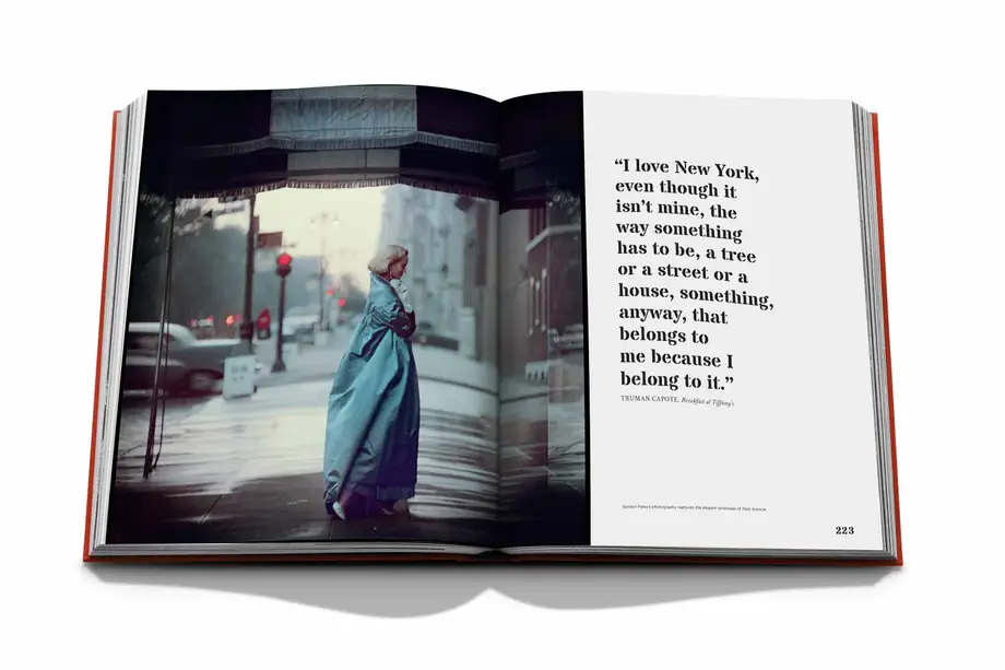 Assouline New York by New York