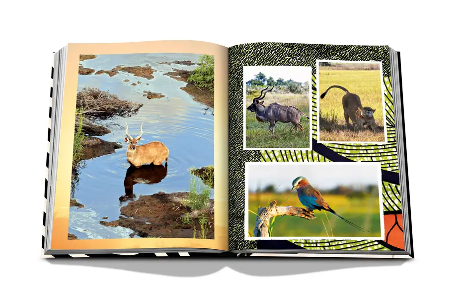 Assouline African Adventures: The Greatest Safari on Earth 