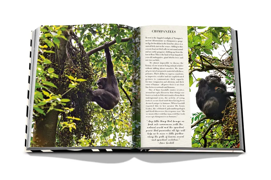 Assouline African Adventures: The Greatest Safari on Earth 