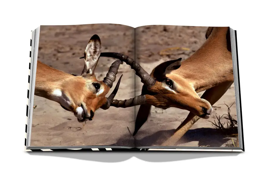 Assouline African Adventures: The Greatest Safari on Earth 