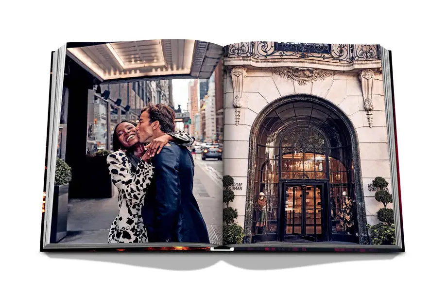 Assouline New York Chic