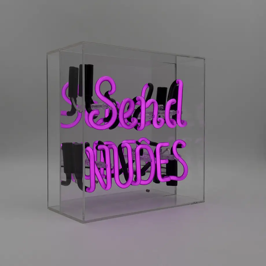 'Send Nudes' Neon Box Sign