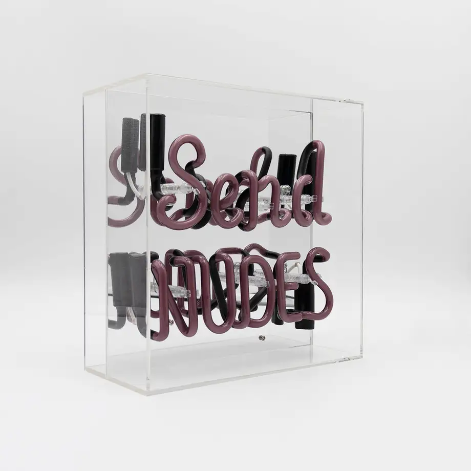 'Send Nudes' Neon Box Sign
