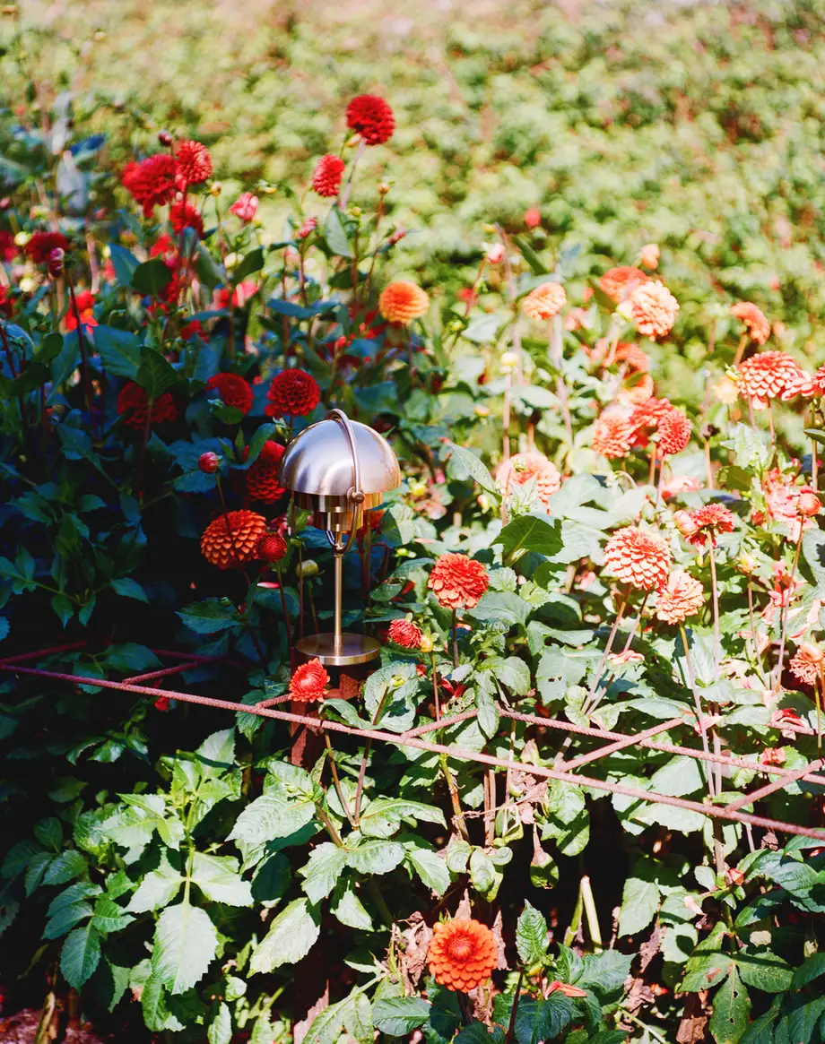 Gubi Multi-Lite Portable Lamp