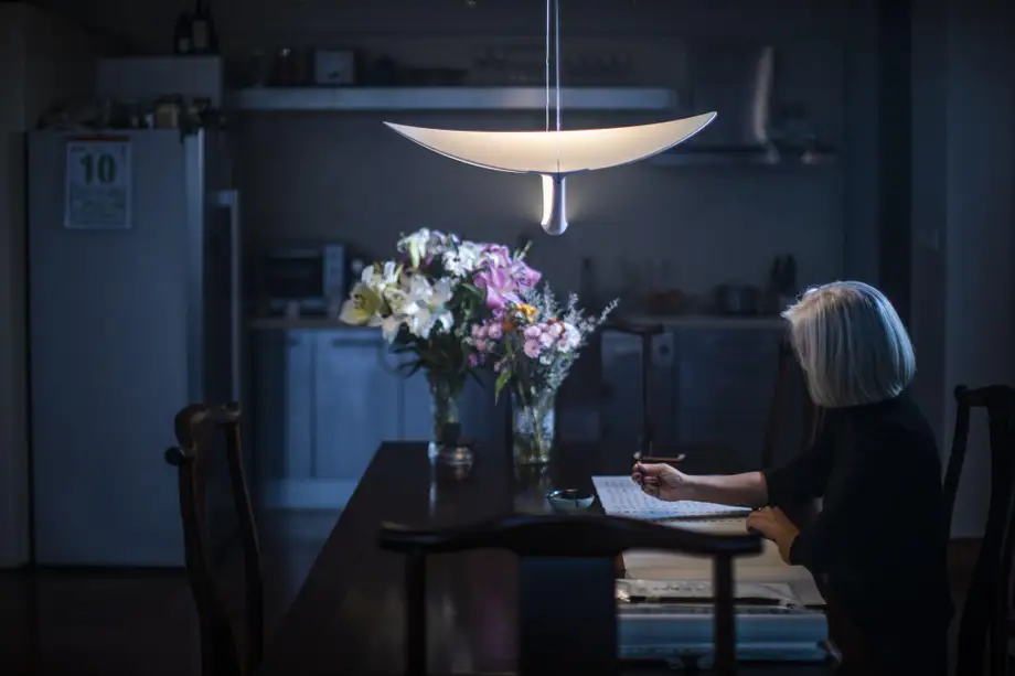 Foscarini Plena Suspension Lamp