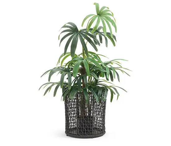 Varaschin Emma Flower Pot