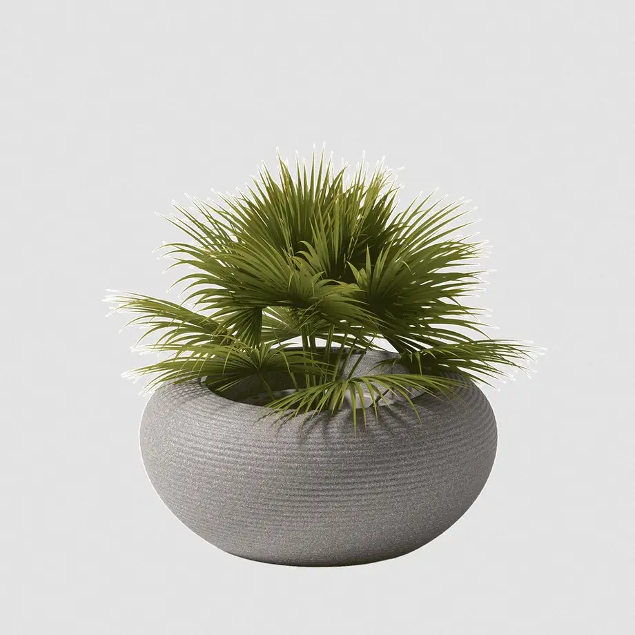 Qeeboo Nami Planter