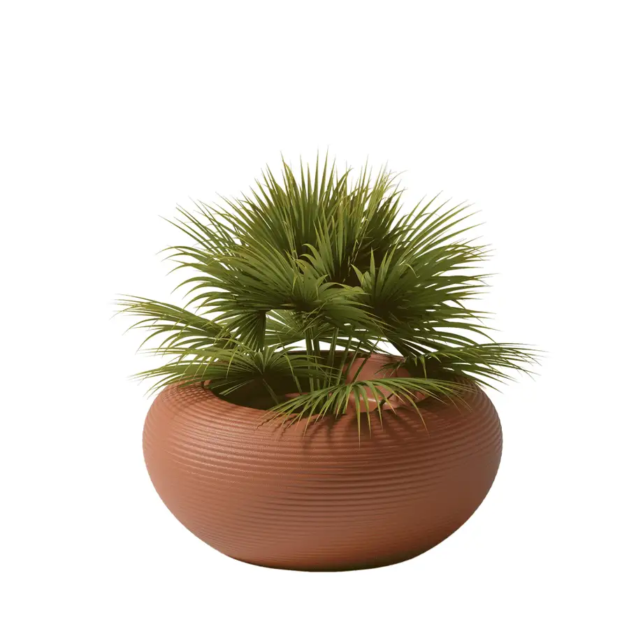 Qeeboo Nami Planter
