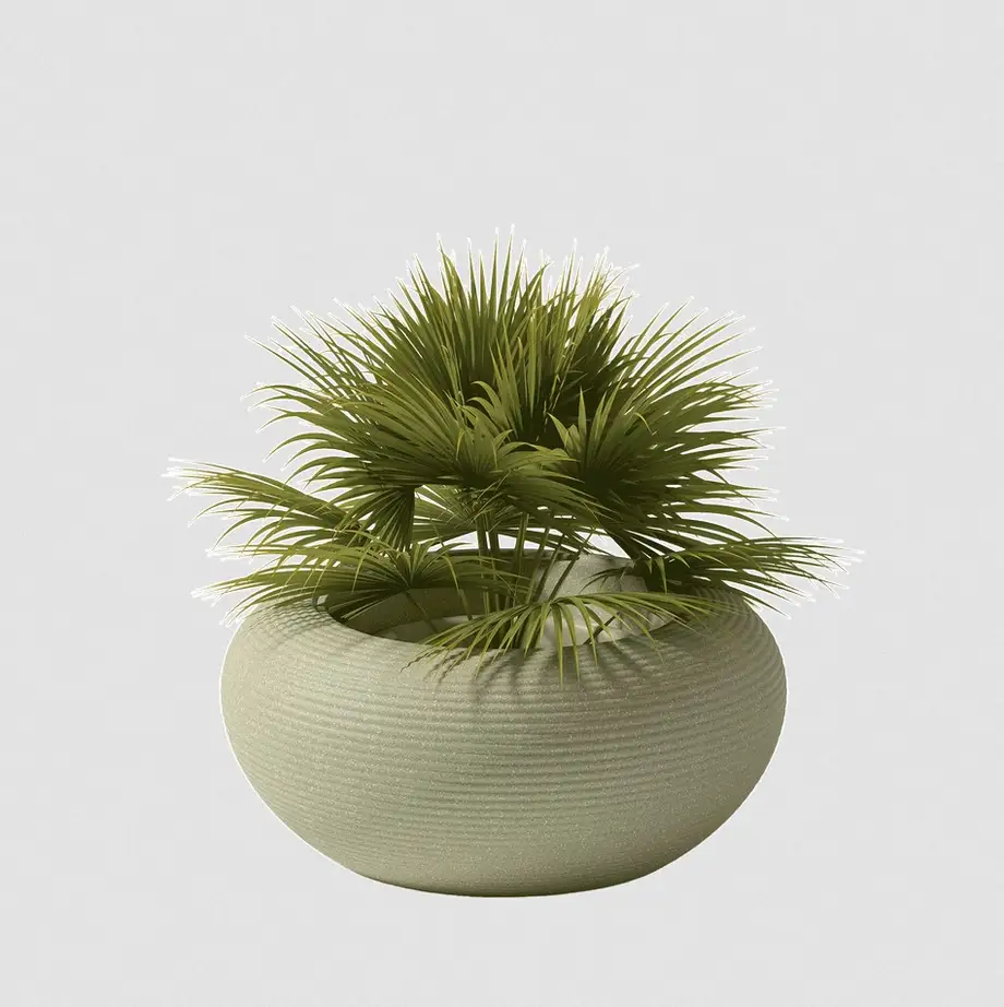 Qeeboo Nami Planter