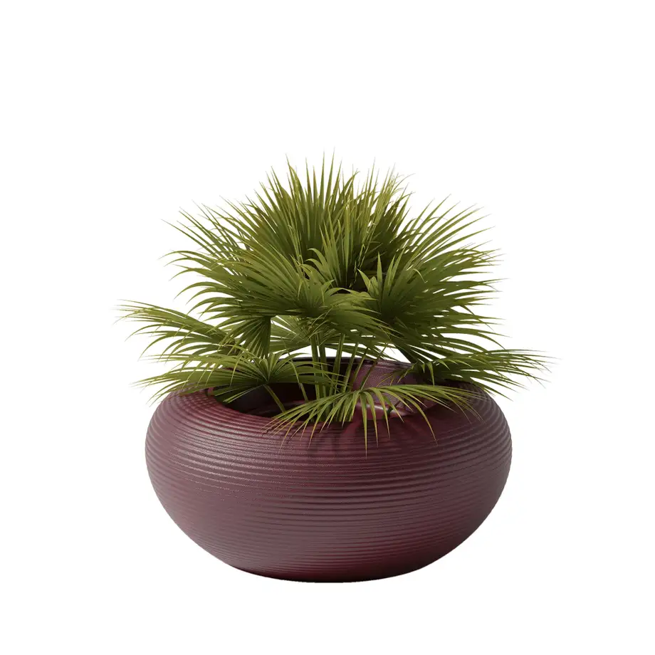 Qeeboo Nami Planter