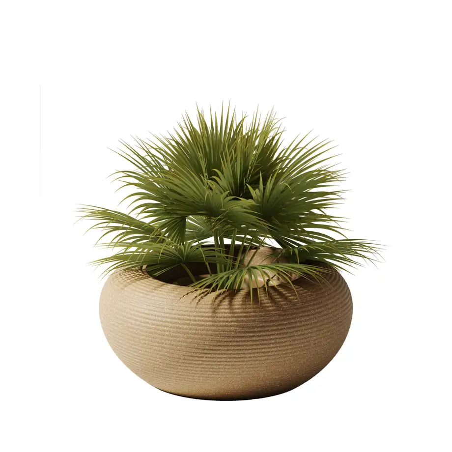 Qeeboo Nami Planter