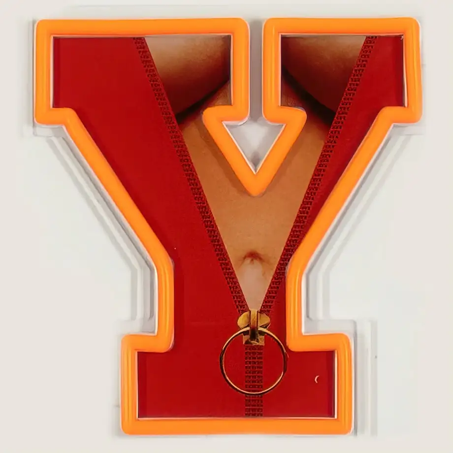 Playboy X "Playboy Wordmark" LED Wall Mountable Neon