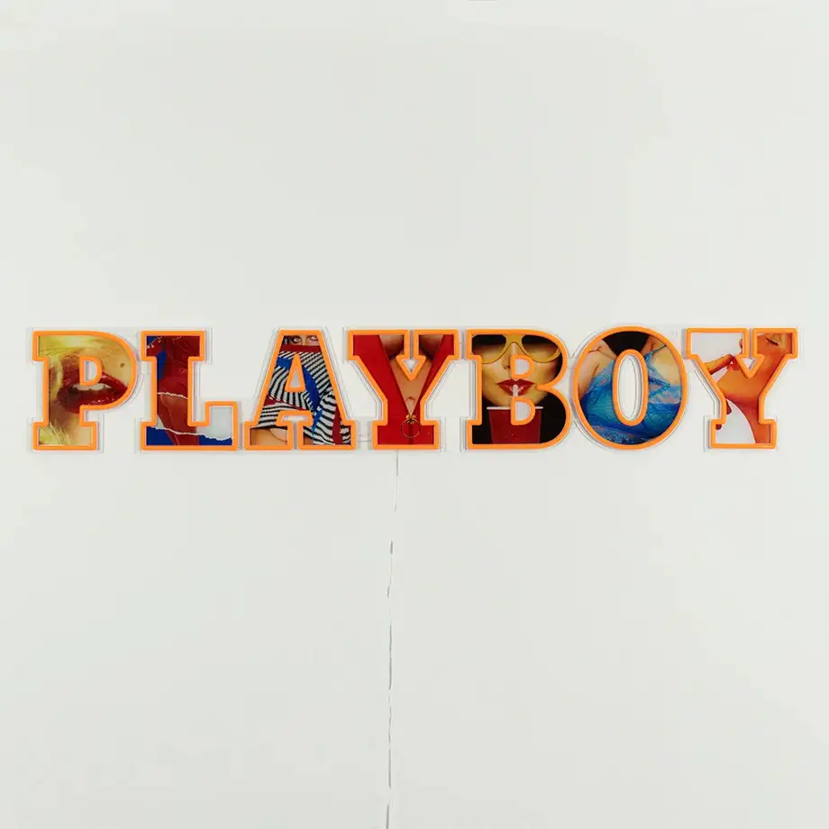 Playboy X "Playboy Wordmark" LED Wall Mountable Neon