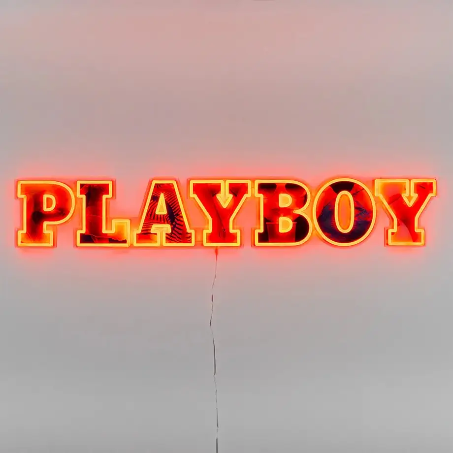 Playboy X "Playboy Wordmark" LED Wall Mountable Neon