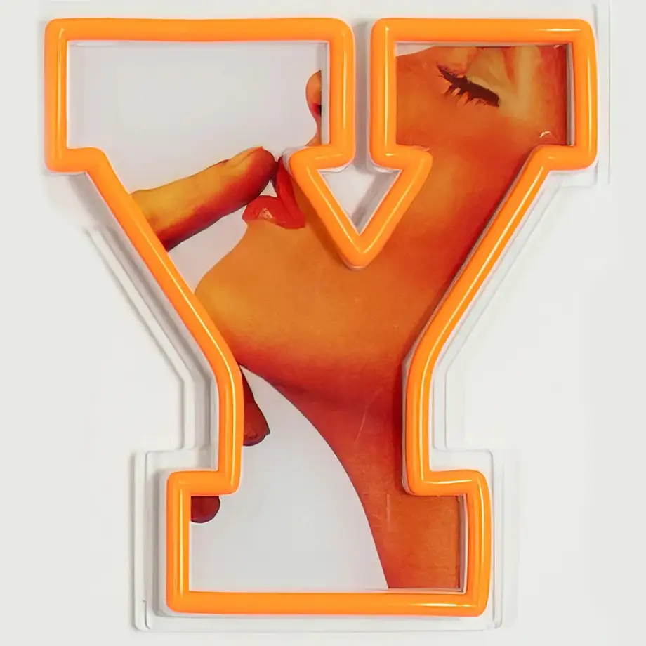 Playboy X "Playboy Wordmark" LED Wall Mountable Neon