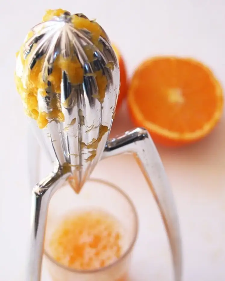 Alessi Juicy Salif Citrus Squeezer