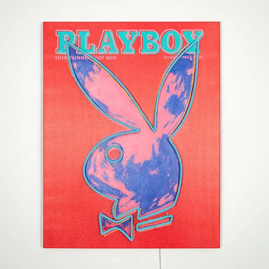 Playboy X "Andy Warhol Cover" Wall Artwork Led