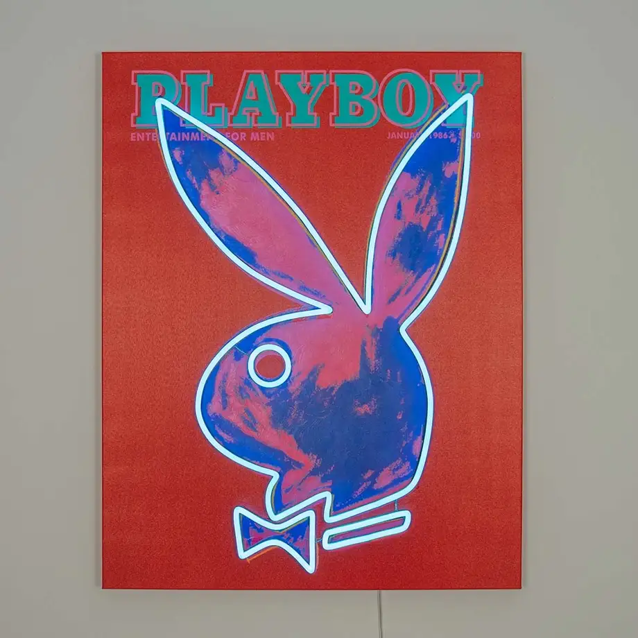 Playboy X "Andy Warhol Cover" Wall Artwork Led