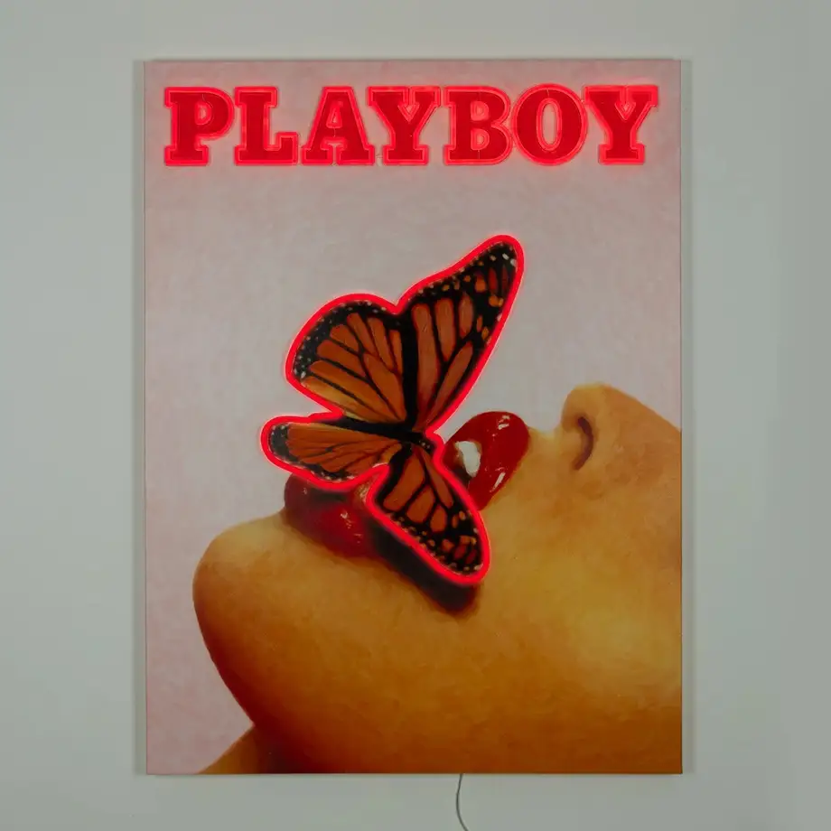 Playboy X "Butterfly Cover" Wall Artwork Led