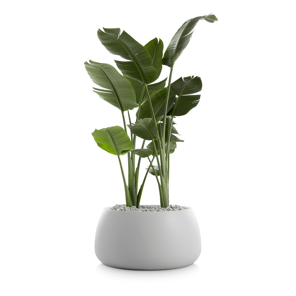 Diabla Gobi Outdoor Planter 3