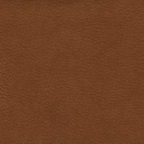 Enchant - 27 sauvage