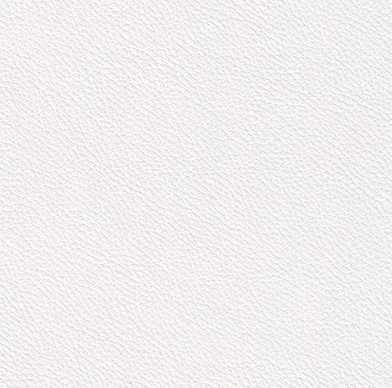 Gemini - White