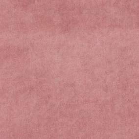 Violet - 31