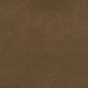 Enchant - 16 Antilope
