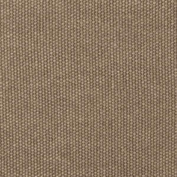 Cotton - C_07