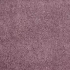 Violet - 15