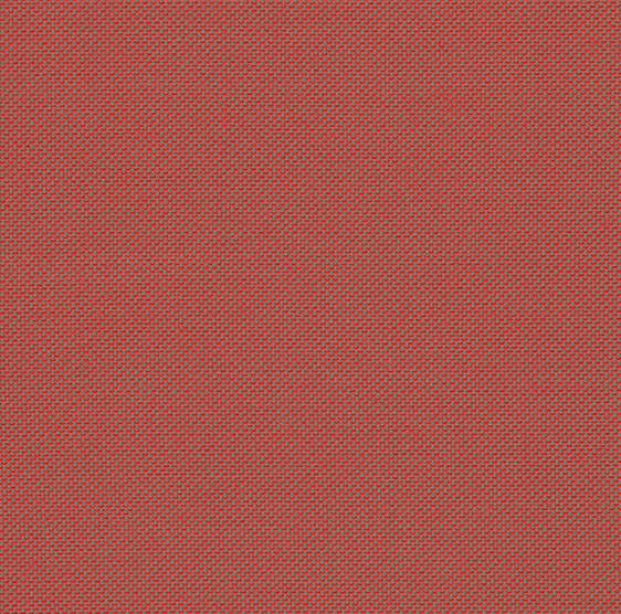 Panama - Cherry