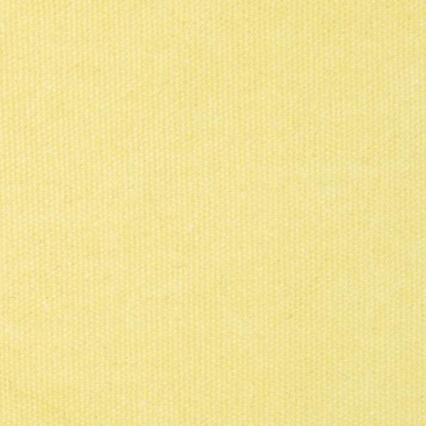 Cotton - C_02
